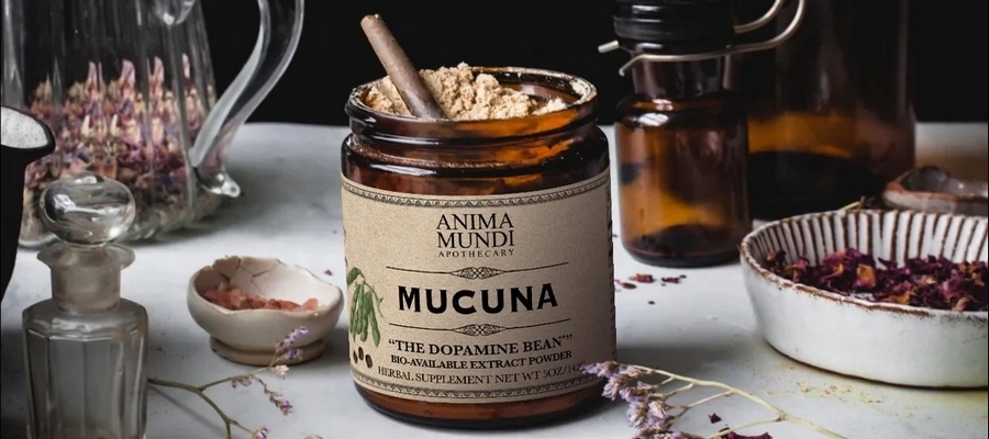 Mucuna De Fluwelen Dopamineboon