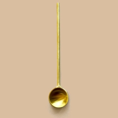 Anima Mundi Brass Spoon