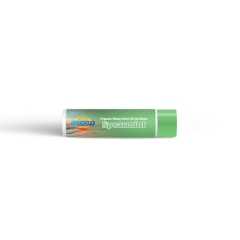 Yaoh Lipbalm Spearmint 4 grams