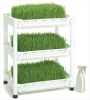 Tribest Sproutman Tarwegras Kiem Set
