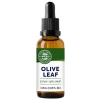 Vimergy Olive Leaf 10:1 115 ML